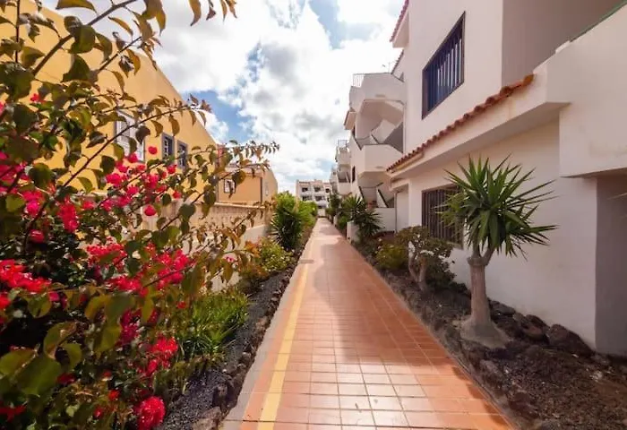 Bougainville Costa Del Silencio 아파트 아로나